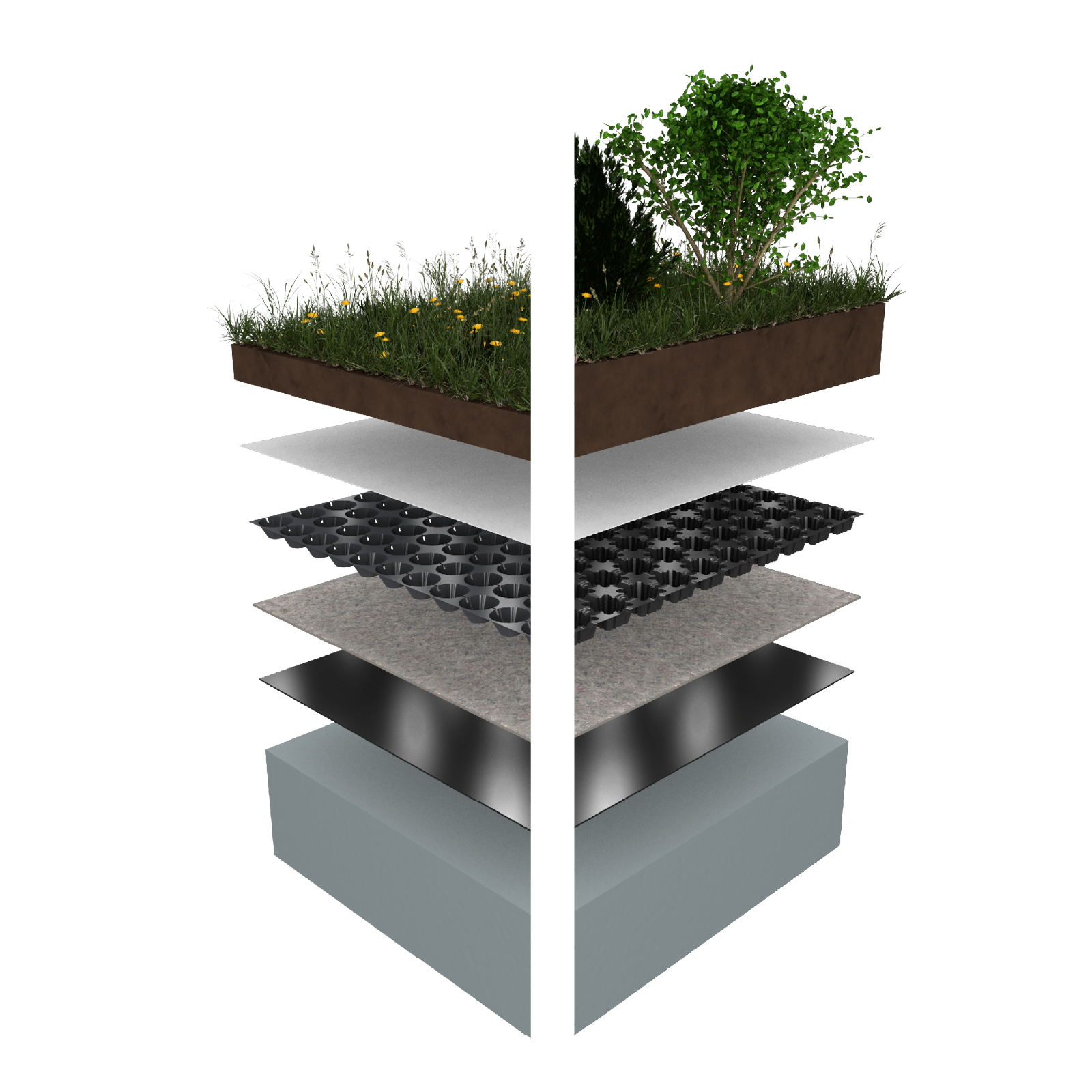 Gründach / Dachbegrünung