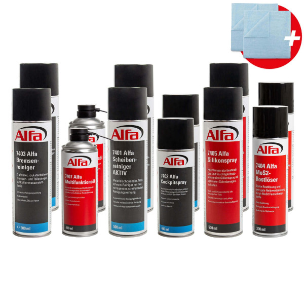 7420 Alfa Reinigungs- und Pflegeset